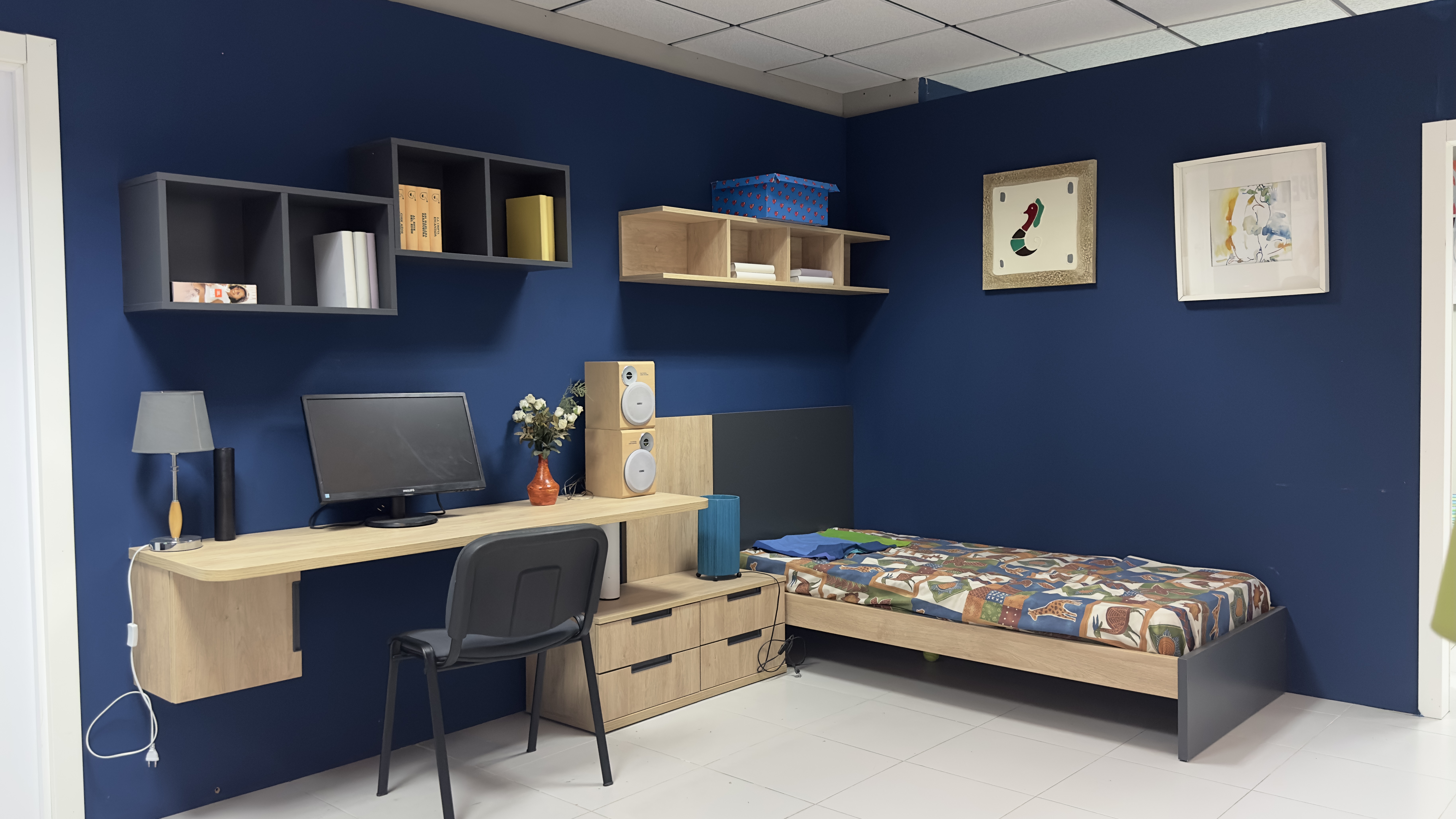 Visita nuestro Show-room